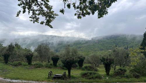 Podere Sagna - Foto 2