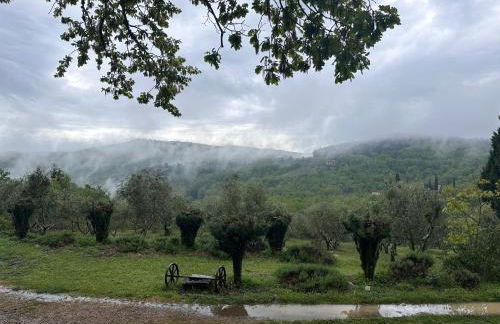 Podere Sagna - Foto 2