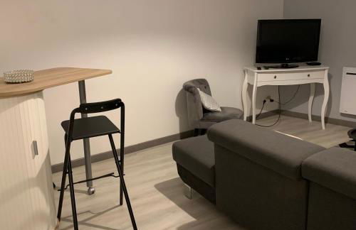 Appartement 4 PERSONNES EMPLACEMENT IDEAL PROCHE DES 24H ET GARE - Foto 9