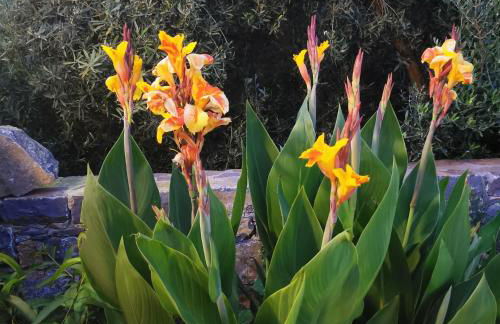 Muse by the beach with Jakuzzi - Foto 21