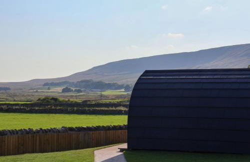 Woodpecker - Foto 15