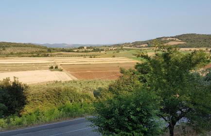 Sonnellino in Maremma - Foto 19