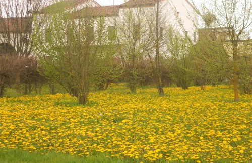 Villa Gaudio - Foto 7