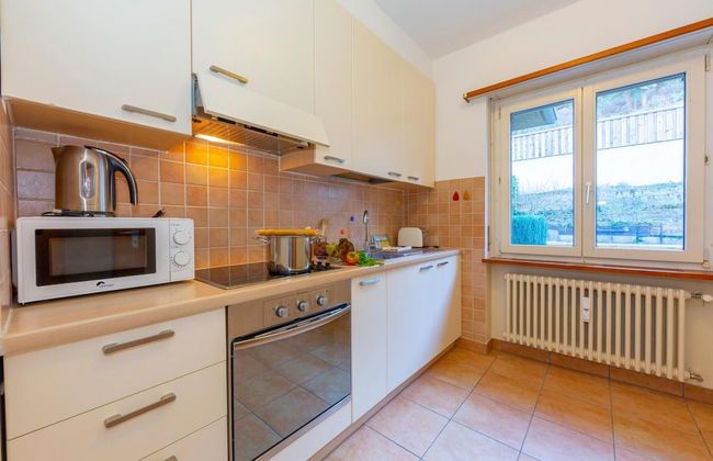 Garden On The Lake in Gambarogno Vira - Foto 6