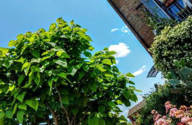 Casa Magnolia - Foto 7