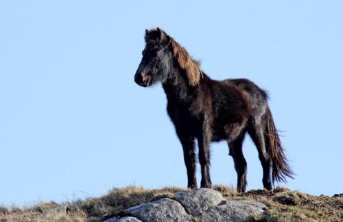 Eriskay Views Cottage - Foto 23