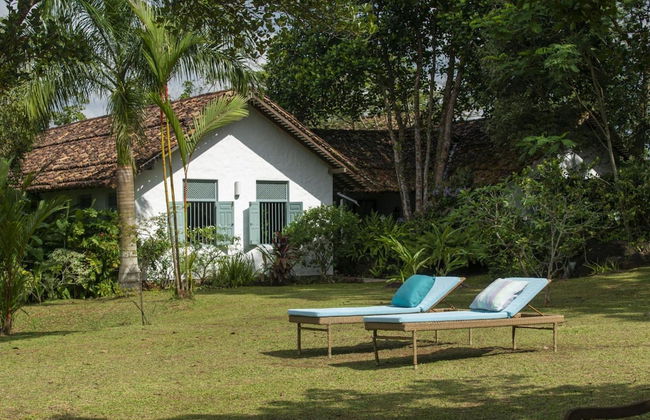 08 Acre Private Tea Estate Close To Galle - Photo 32