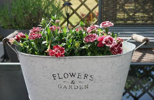 HoLa Auszeit - ehemalige Scheune am Dassower See - Photo 30