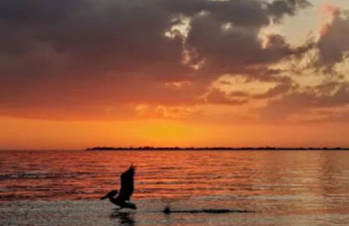 Vista Del Mar at Cape Harbour Marina, 10th Floor Luxury Condo, King Bed, Views! - Foto 63