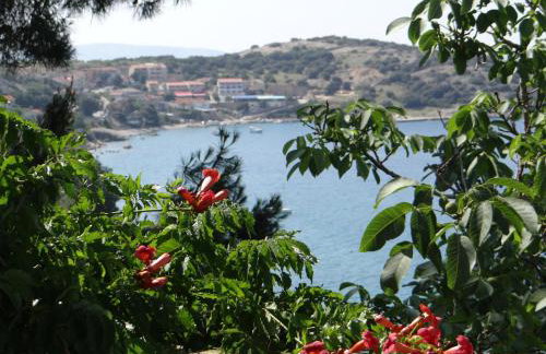 Apartments Bassi - Foto 22