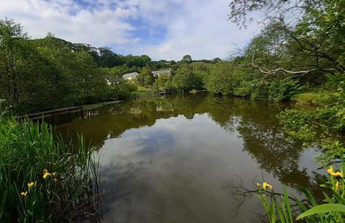 Royd Cottage at Lower Aylescott - Foto 12