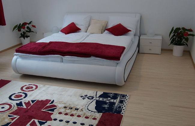 W & S Executive Apartments - Obertraun - Foto 16