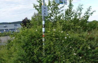 Ferienwohnung Schwarzwaldgrün - Foto 35