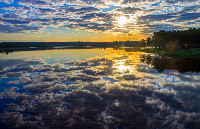 Green Gold Park - Foto 67