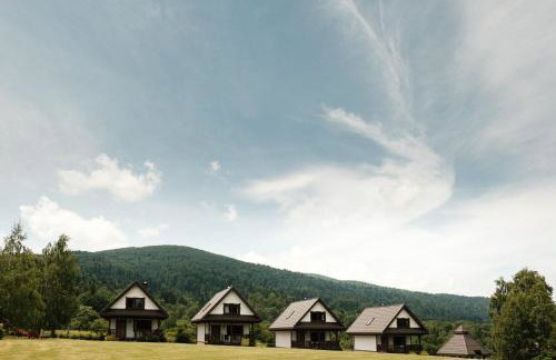 Dom Malowany domki - Foto 6