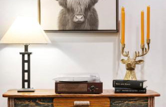 The Lodge, 'North Woods' style, boutique Galena Getaway! - Foto 4