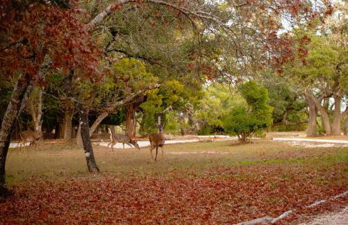 Red Barn Inn Feed Deer and play games & Firepit - Foto 37