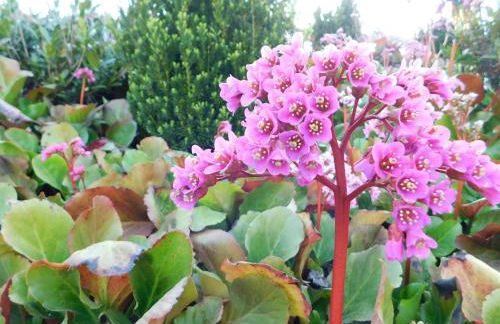 Alte Schreinerei - Foto 36