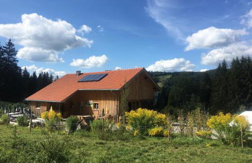 weitnaustyle - renoviert, modern, allergikerfreundlich - Photo 21