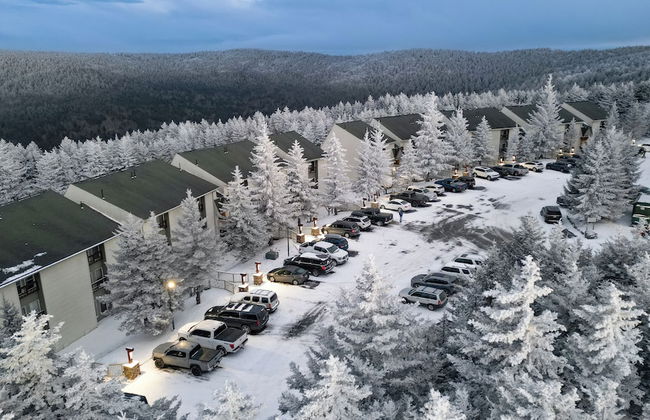 Leatherbark - Foto 1