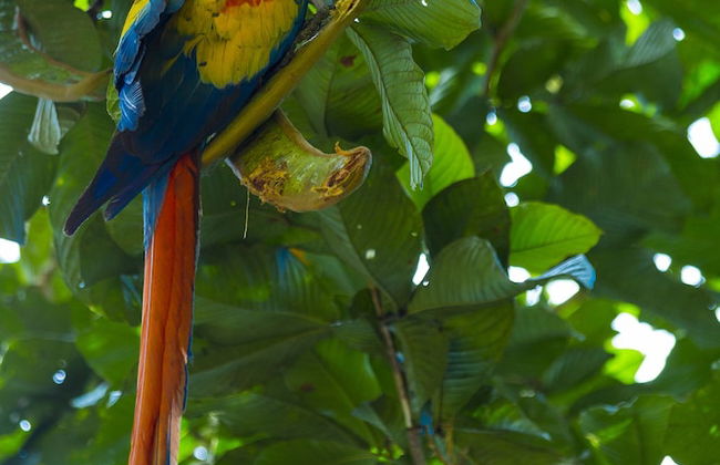 Room-private Honeymoon Bungalow - Foto 13