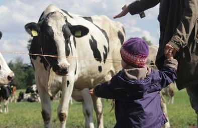 Ferien-und Bauernhof Gauster - Foto 6