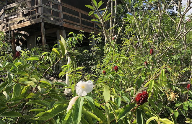 Santa Cruz Cabins - Foto 33