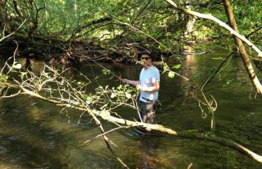 Pension Waldfrieden - Foto 32