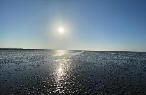 Ferienwohnung am Deichweg - Foto 22