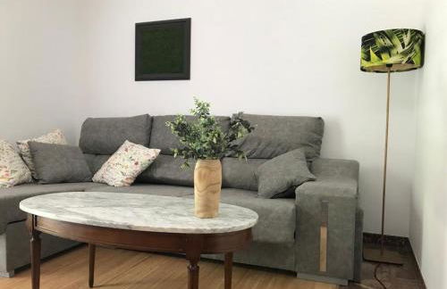 Primero Seixo antiguo - Foto 35