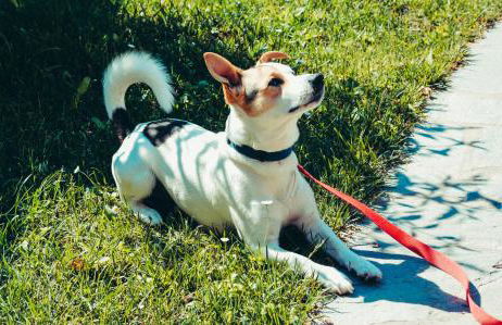 Casa Vacanze Vittoria - Foto 34