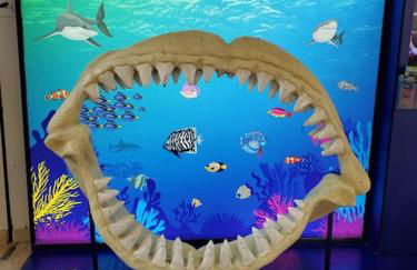 Disney Luxury Studio - Foto 44