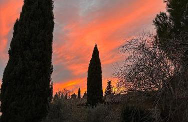 Villa Amici Apartment - Photo 31