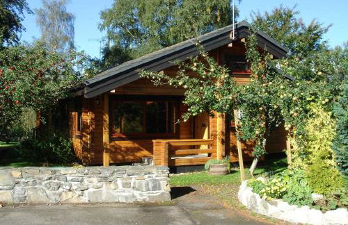 Loch Insh Chalets and Apartments - Foto 10