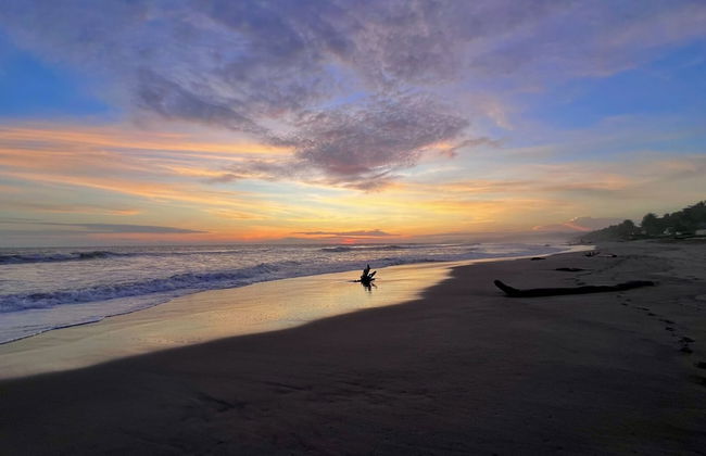 Sofy House - Foto 38