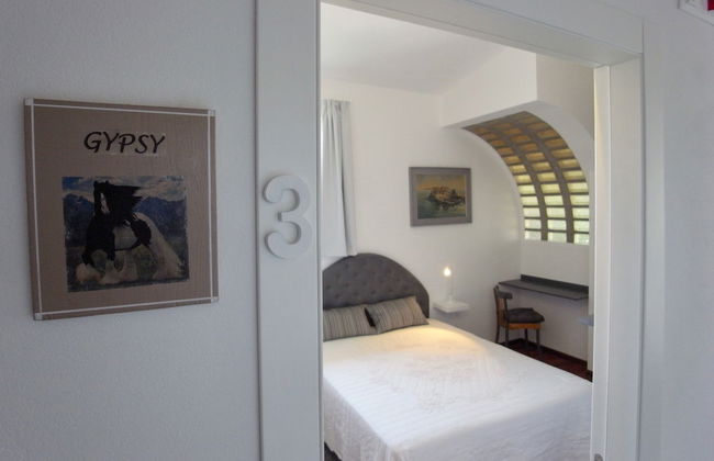 Società Agricola La Staccionata - Foto 10