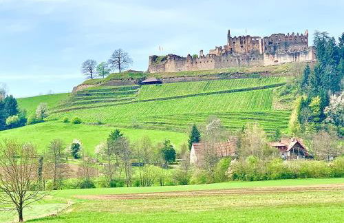 Ferienwohnung Diana - Foto 21