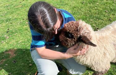 Rural Farm Stay with 6 cottages, 4 miles to Barnstaple, Pet friendly, Daily animal experiences, Outdoor heated pool, Games barn, Free fast WiFi, Free parking - Foto 7