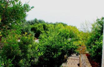 Apartments Doris - Foto 58