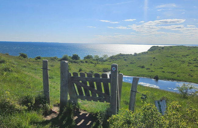 16 Person Holiday Home in Vejby - Foto 6