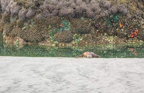 Rocks Cabin - Foto 8