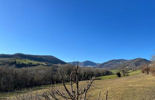 La Fabiola - Foto 25