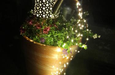 Pension Entenhausen - Foto 41