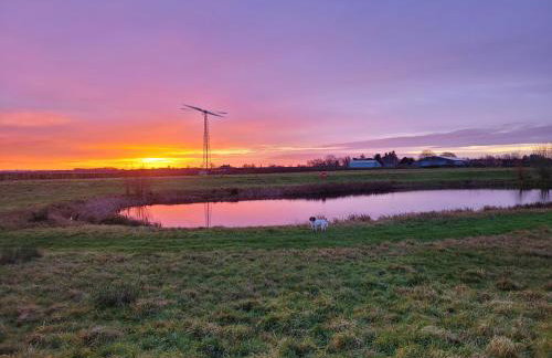 Elm Cottage - Foto 9