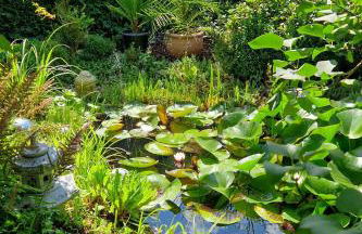 Ferienwohnung "Waldblick" - Foto 20