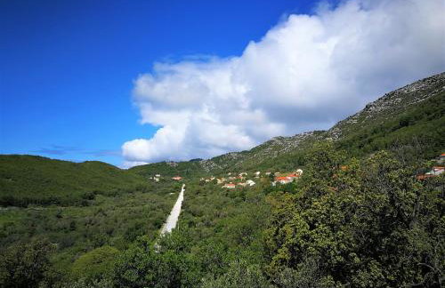 Countryside Vacation House VITEZ - Foto 23