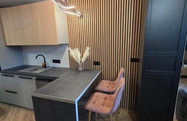 Green Baltic Portovo Comfort Apartment City Center Balcony - Foto 2