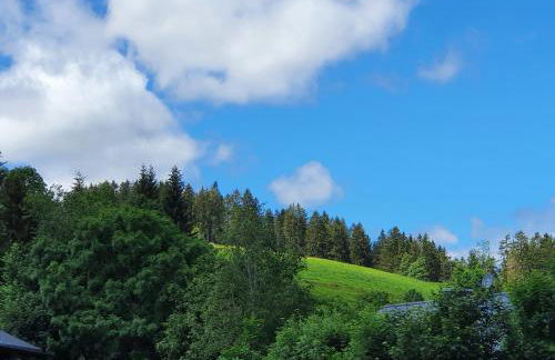 Ferienwohnung Hitz - Foto 18