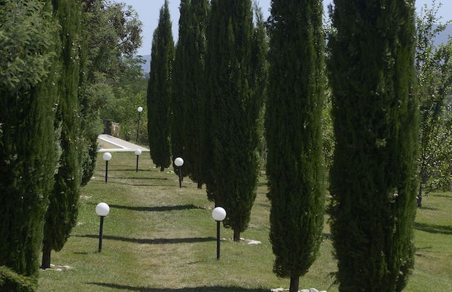 Bio Agriturismo Valle dei Calanchi - Foto 48