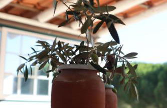 Monte Santo - Foto 26